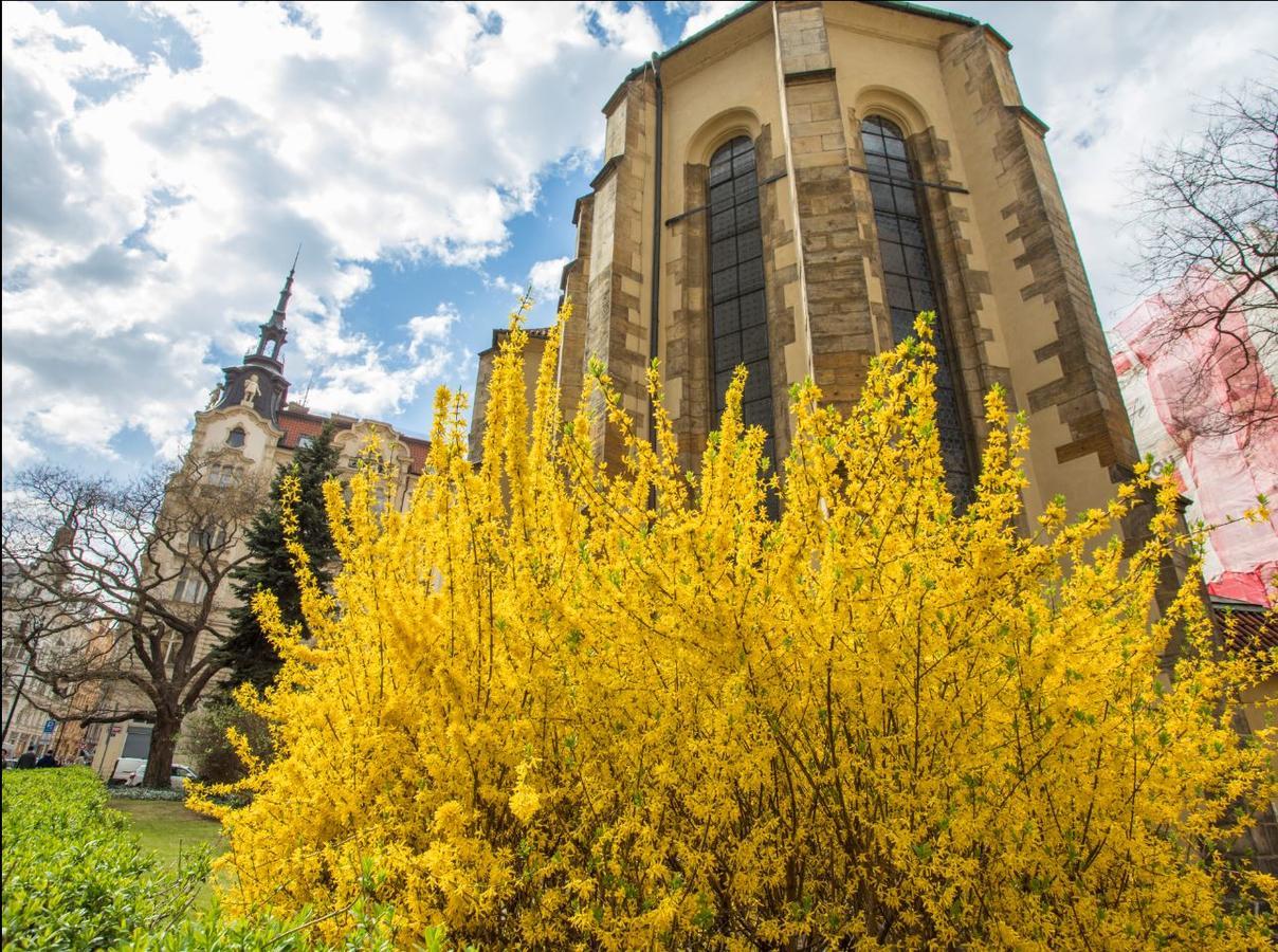 Kajetanka Apartamento Praga Exterior foto